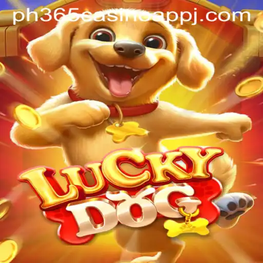 The Rise and Thrill of LuckyDog: A New Star in the PH365 Casino App